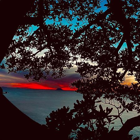 ホテル Bonsai トロペーア エクステリア 写真