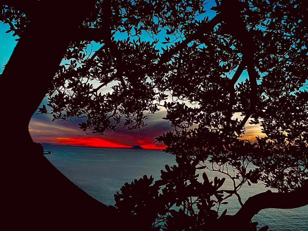ホテル Bonsai トロペーア エクステリア 写真